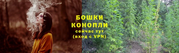 трава Сосновый Бор