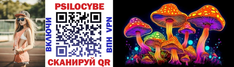 Галлюциногенные грибы Psilocybe цена наркотик blacksprut ONION Серпухов