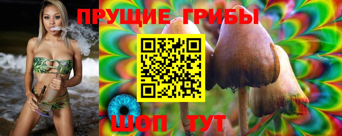 Серпухов  Галлюциногенные грибы MAGIC MUSHROOMS  Вход с VPN  Псилоцибиновые грибы прущие грибы 