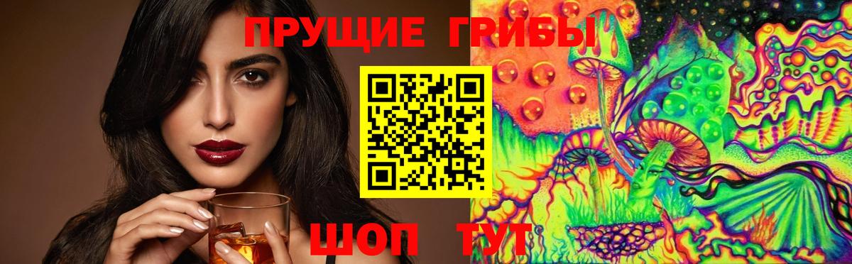 Псилоцибиновые грибы Psilocybine cubensis Серпухов